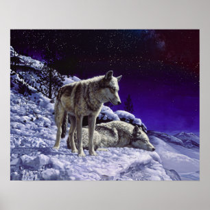 Grått-Varger i Winter Snö på natten Poster