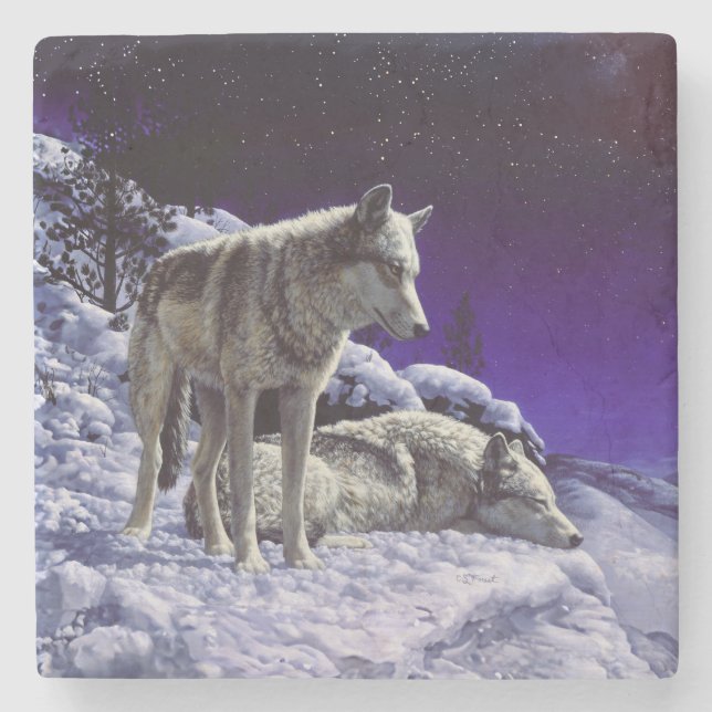 Grått-Varger i Winter Snö på natten Stenunderlägg (Framsidan)