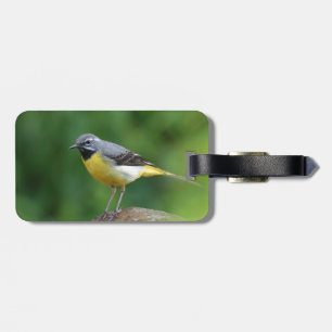 Grått Wagtail-fågel Bagagebricka
