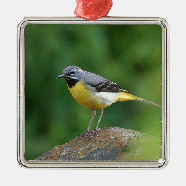 Grått Wagtail-fågel Julgransprydnad Metall (Framsidan)