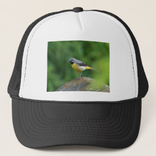 Grått Wagtail-fågel Keps
