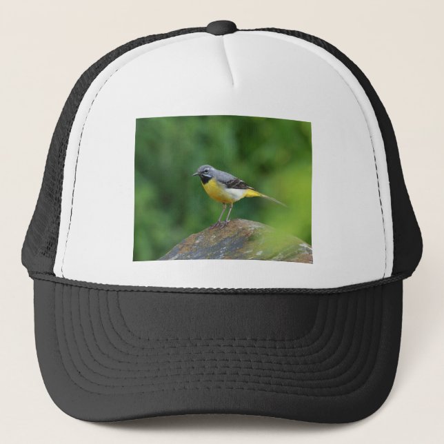Grått Wagtail-fågel Keps (Framsida)