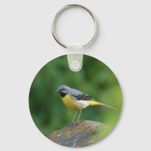 Grått Wagtail-fågel Nyckelring