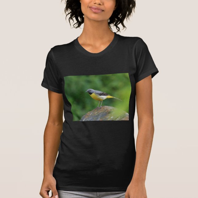 Grått Wagtail-fågel Tröja (Framsida)