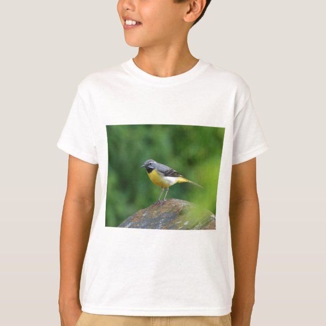 Grått Wagtail-fågel Tröja (Framsida)