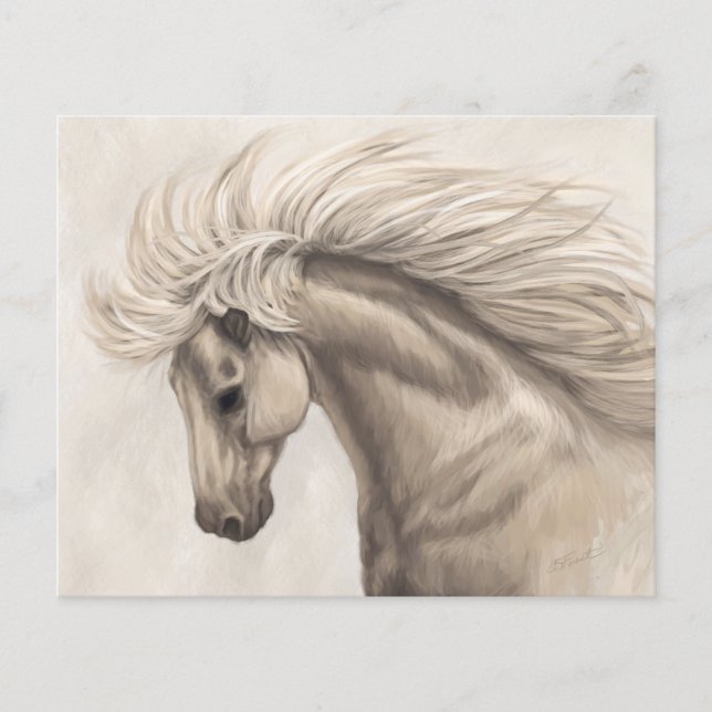 Grått White Ivory Horse Vild Mane (Framsida)