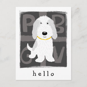 Grått & White PBGV Vykort