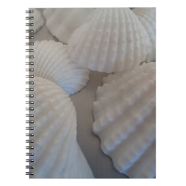Grått White, Seashells, Sea Snäcka Summer Beach Kä Anteckningsbok Med Spiral (Framsidan)