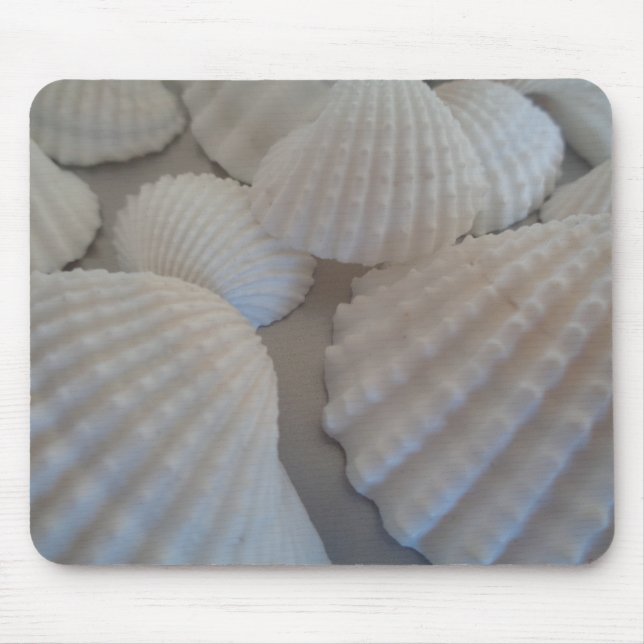 Grått White, Seashells, Sea Snäcka Summer Beach Kä Musmatta (Framsidan)