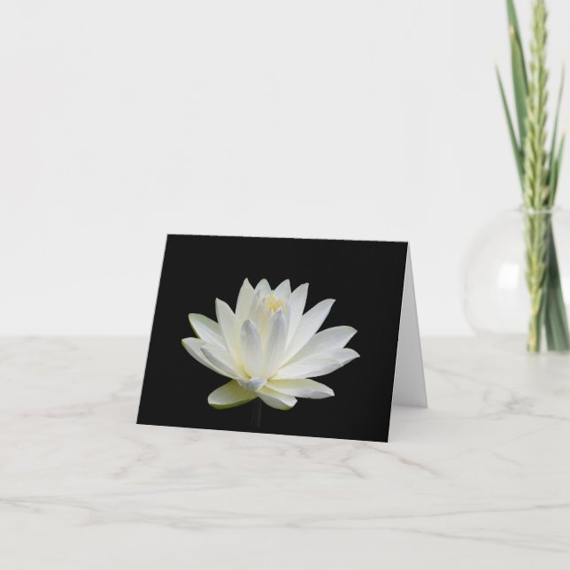 Grått White Vatten Lily Blank Note Greeting Card Kort (Framsida)