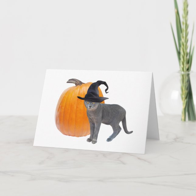 Grått Witch Cat med Pumpkin Halloween Card Kort (Framsida)