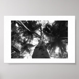 Gråttet ovanför Australien Black and White Photo Poster