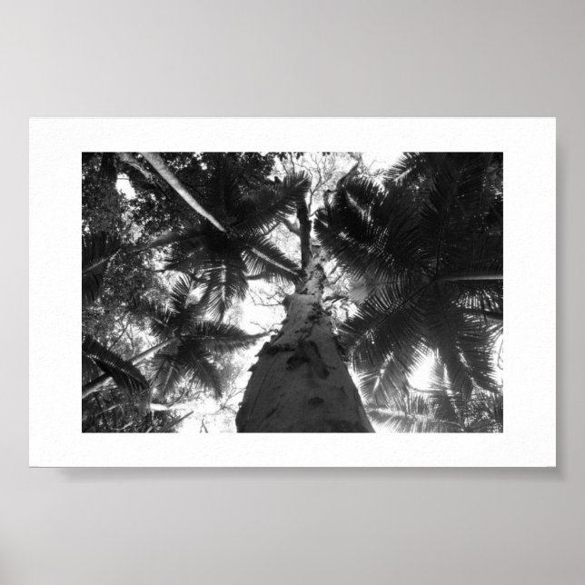 Gråttet ovanför Australien Black and White Photo Poster (Framsidan)