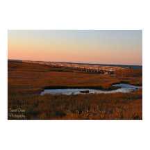 Gråttets Beach Boardpromenader Poster