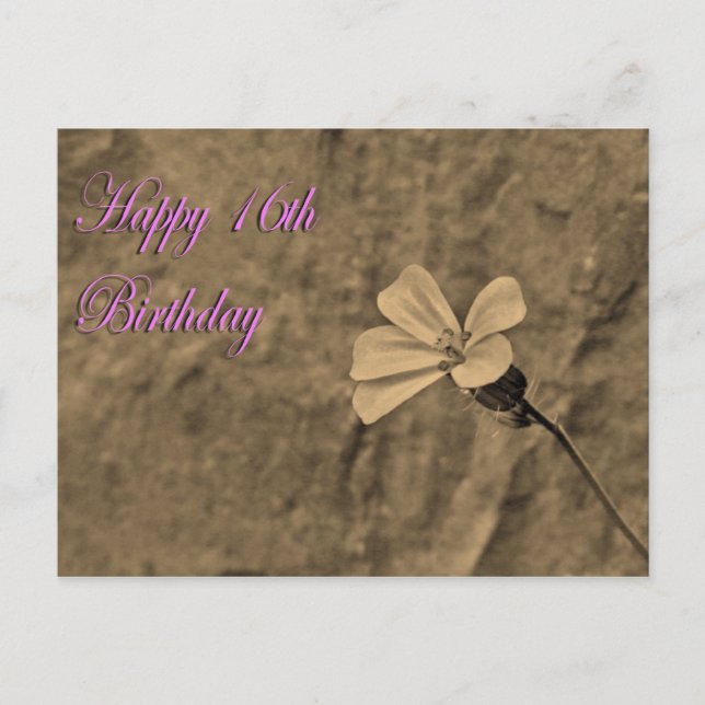 Grattis 16-årsdag Blomma och sten i sepia Vykort (Framsida)