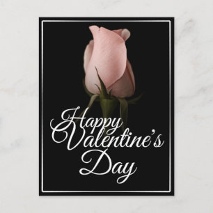 Grattis Alla Hjärtans Dag med rosa ros Helg Vykort