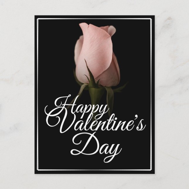 Grattis Alla Hjärtans Dag med rosa ros Helg Vykort (Framsida)