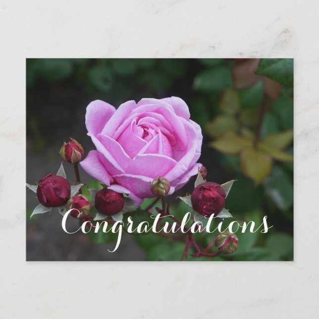 Grattis Bishop's Castle  #1 Vykort (Framsida)