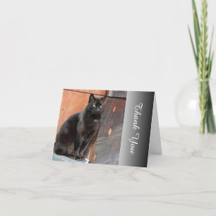 Grattis, Black Cat Tackkort-kort Tack Kort