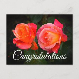 Grattis Broadway Rose #1 vykort