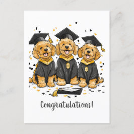 Grattis Examen Goldendoodle Hundar Vykort