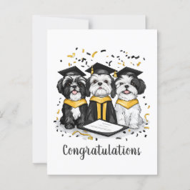 Grattis Examen Shih Tzu Hundar Vykort