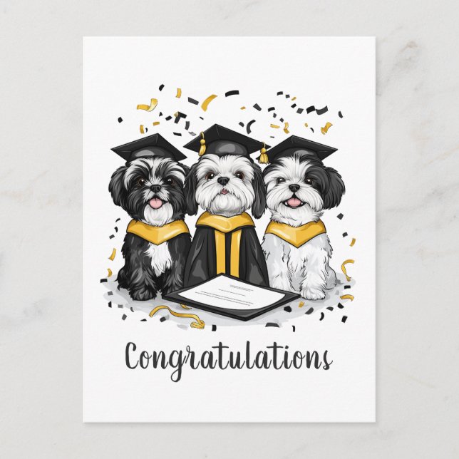 Grattis Examen Shih Tzu Hundar Vykort (Framsida)