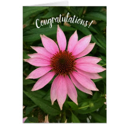 Grattis för BrightStor-Lila Hälsningskort