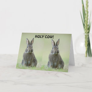 **GRATTIS FÖR COLLEGE STUDENT** KORT