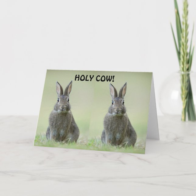 **GRATTIS FÖR COLLEGE STUDENT** KORT (Framsida)