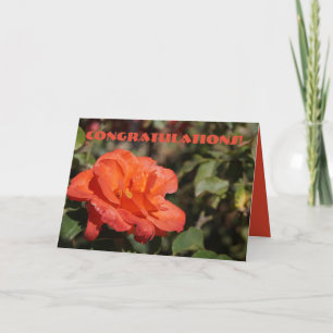 Grattis för Peachy Blommigt Kort