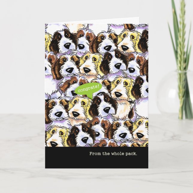 Grattis från roliga PBGV hundar för grupp Kort (Framsida)