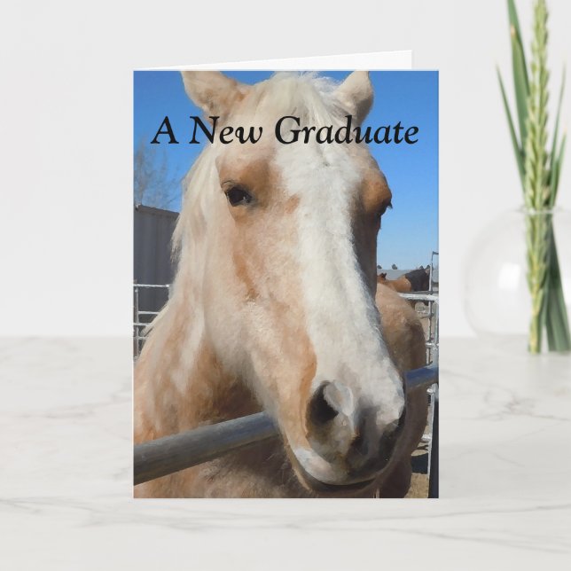 Grattis Horse Student Studenten Kort (Framsida)