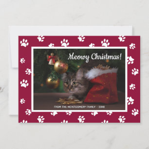 Grattis jul! Sött vita tassavtryck Kattfoto Julkort