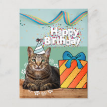 Grattis katt födelsedag vykort