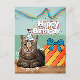 Grattis katt födelsedag vykort