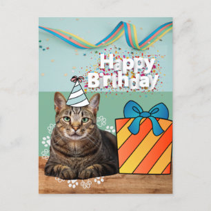 Grattis katt födelsedag vykort