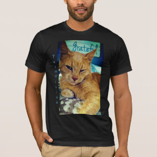 Grattis, katt t shirt