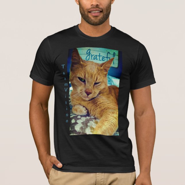 Grattis, katt t shirt (Framsida)