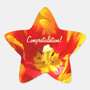 Grattis! klistermärken Röda Gula Tulpan Blommor