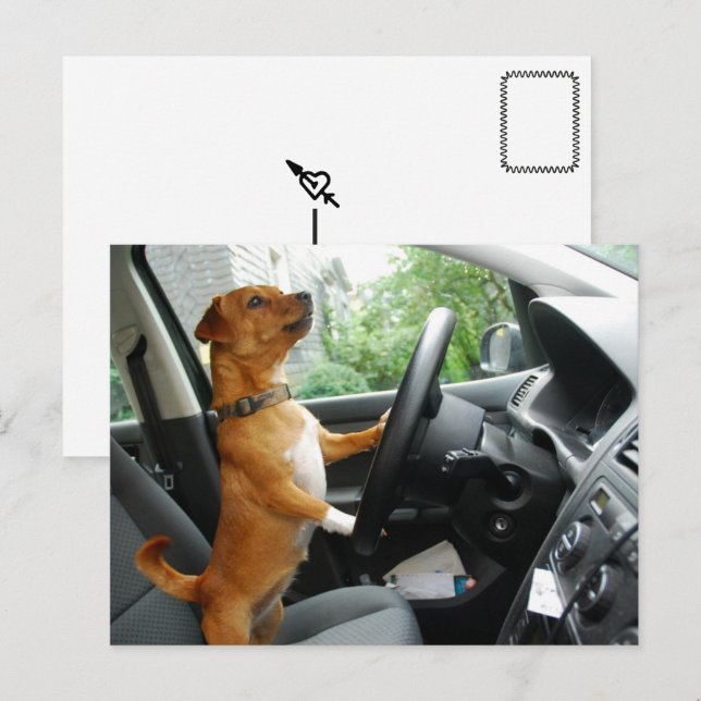 Grattis körkort för körkort vykort (Fram/baksida)