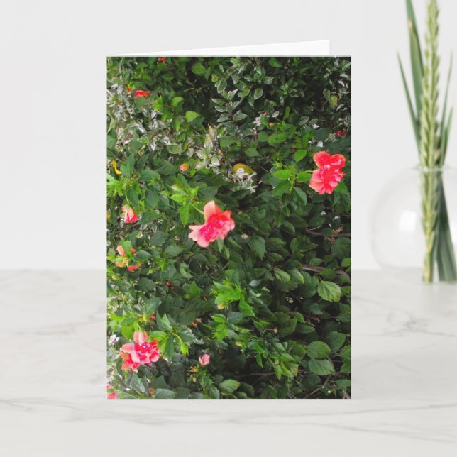Grattis kort med rosa blommor (Framsida)