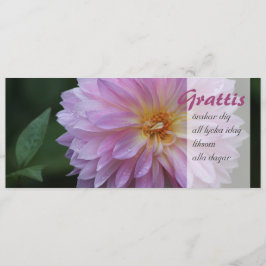 Grattis Önskar gräver alla lycka CC0767