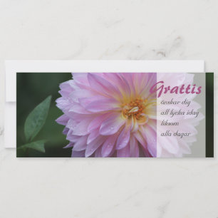 Grattis Önskar gräver alla lycka CC0767