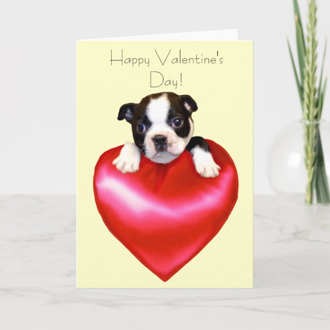 Grattis på Alla hjärtans dag Boston Terrier Card Helgkort (Framsida)