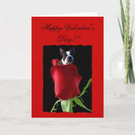 Grattis på Alla hjärtans dag Boston Terrier-hälsni Helgkort