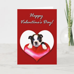 Grattis på Alla hjärtans dag Boston Terrier-kort Helgkort