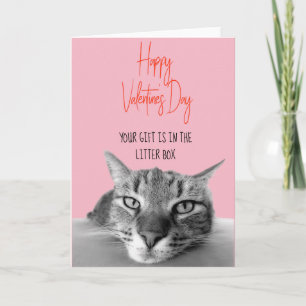 Grattis på Alla hjärtans dag från katt till männis Kort