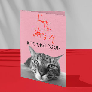 Grattis på Alla hjärtans dag från katt till männis Kort
