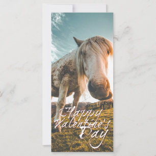 Grattis på Alla hjärtans dag med tittar Horse